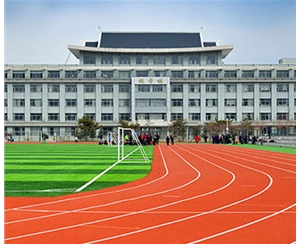 全塑型跑道展示圖